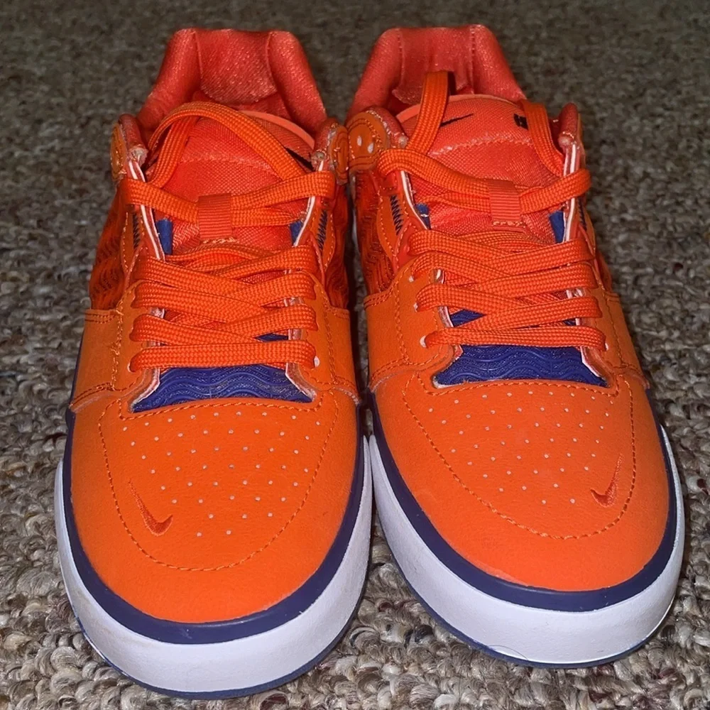 Unisex New Nike SB Ishod Wair Premium Shoes